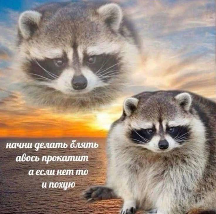 Курилка- разговоры на любые темы - Бодибилдинг форум AnabolicShops