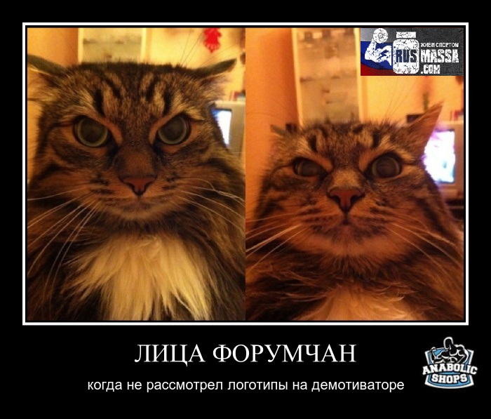 "Конкурс на лучшую картинку-демотиватор" - Бодибилдинг форум AnabolicShops