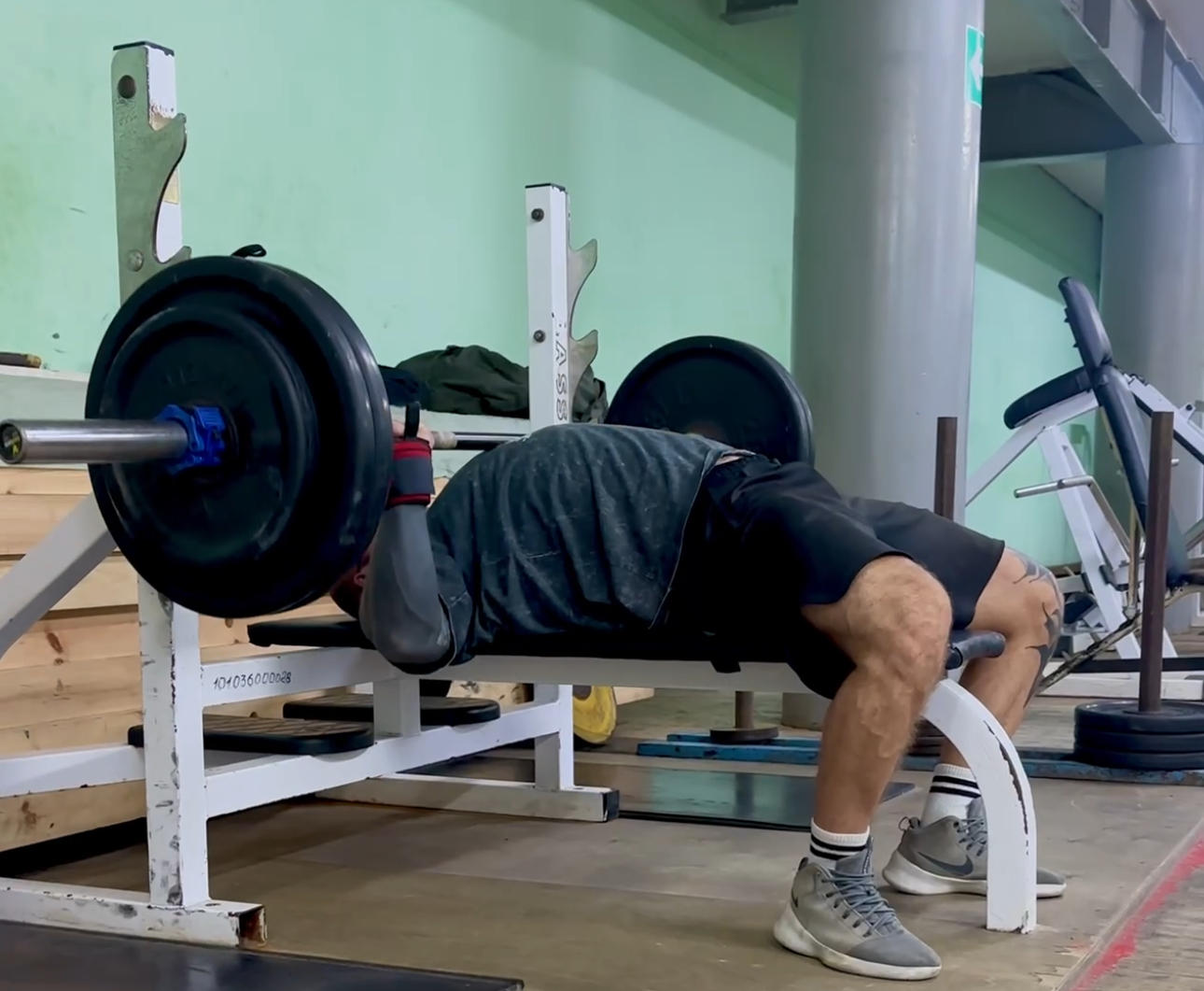 RoidTeam - Дистрибьютор Hilma Biocare и HGH Marten в России - Бодибилдинг форум AnabolicShops