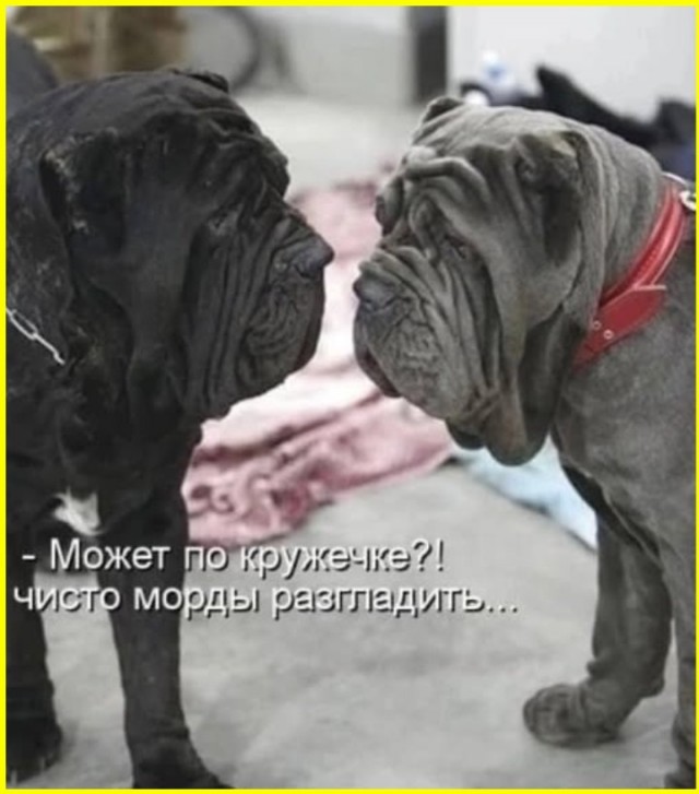 Курилка- разговоры на любые темы - Бодибилдинг форум AnabolicShops