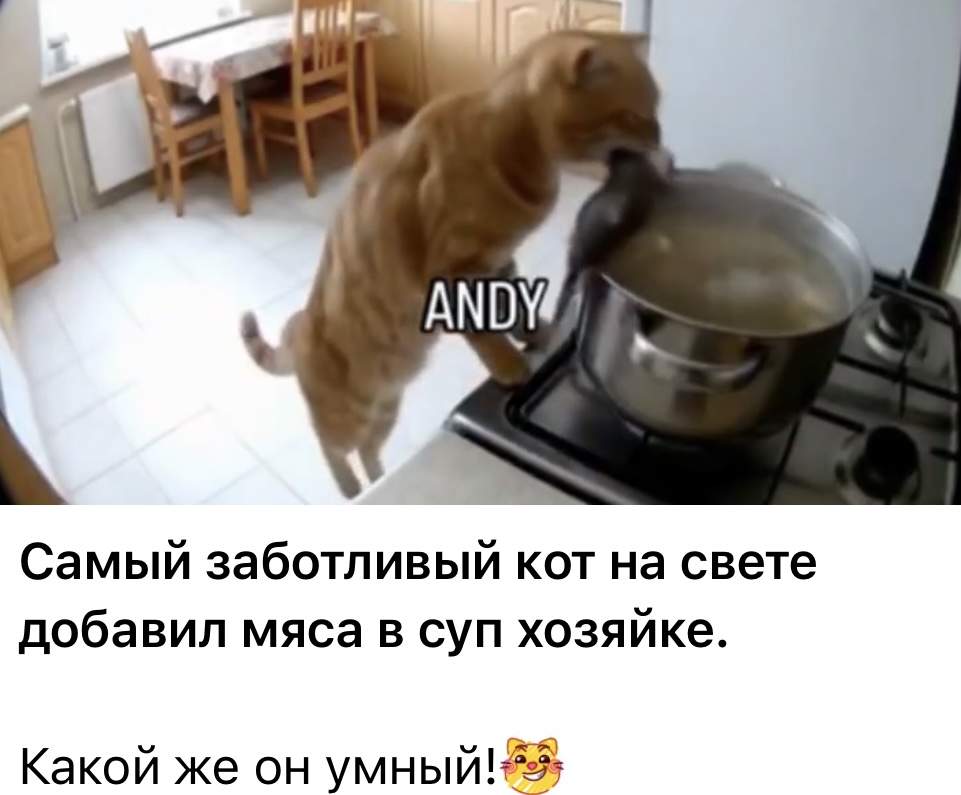 Курилка- разговоры на любые темы - Бодибилдинг форум AnabolicShops