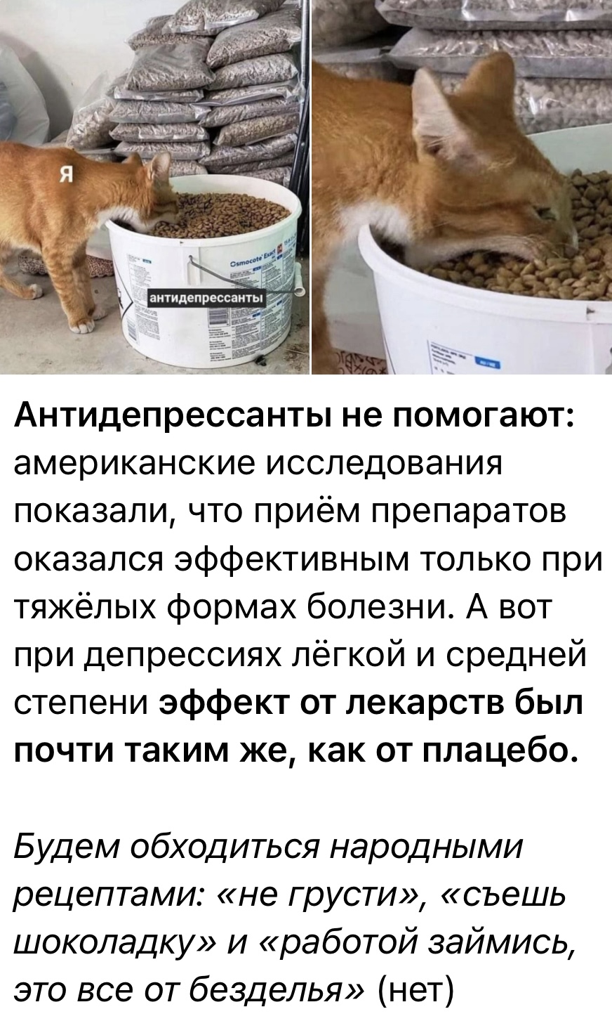 Курилка- разговоры на любые темы - Бодибилдинг форум AnabolicShops