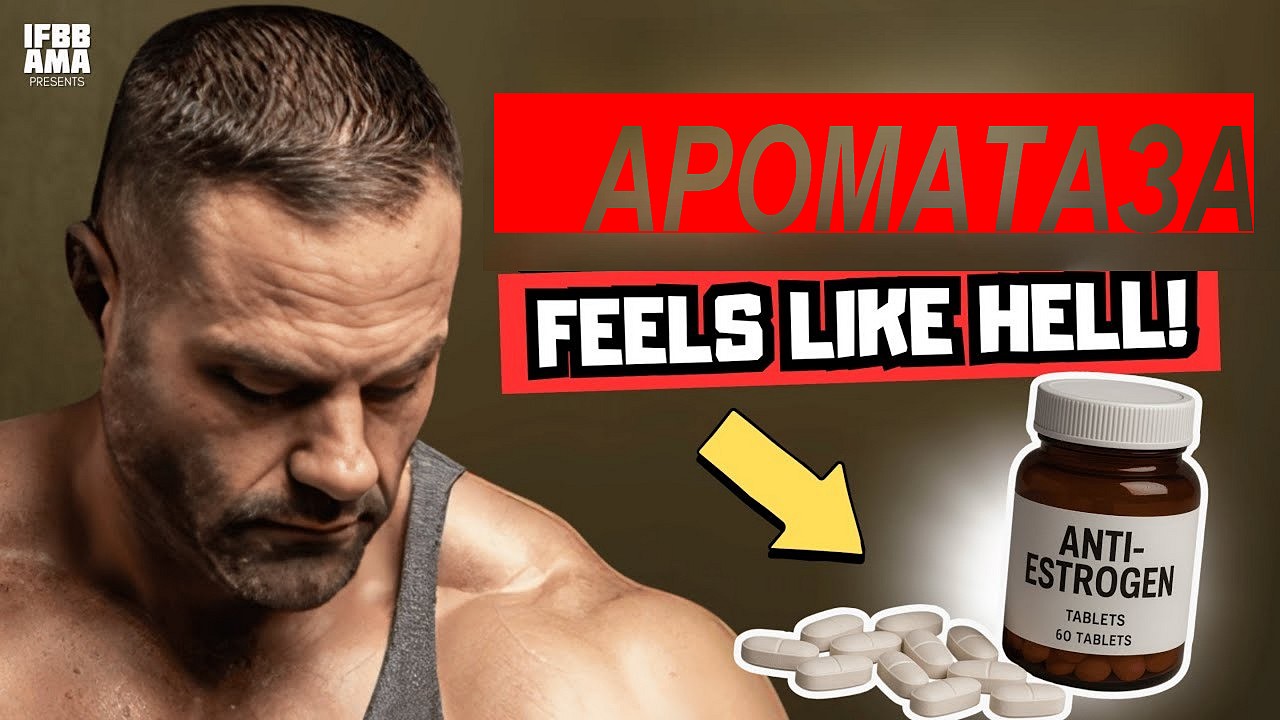 "Подготовка без ингибитора ароматазы тяжелее!" - вспоминает IFBB Эван Центопани - Бодибилдинг форум AnabolicShops