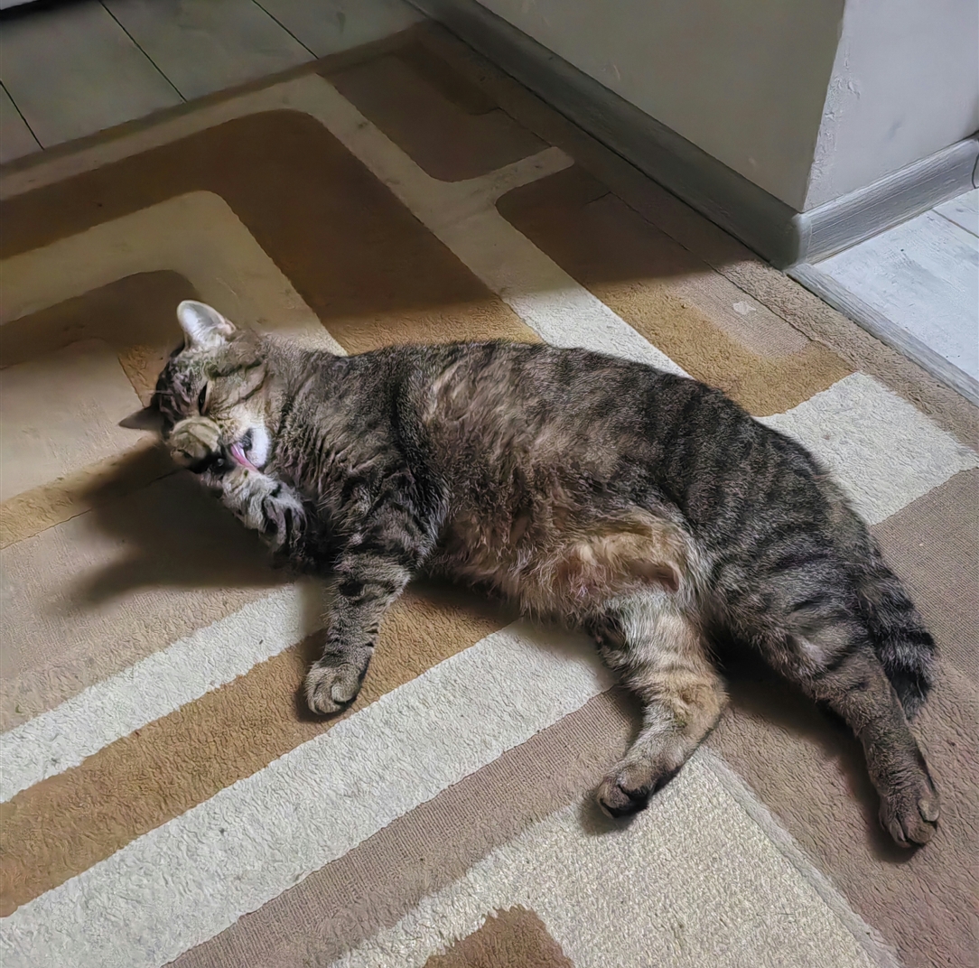 Мои домашние питомцы - Бодибилдинг форум AnabolicShops