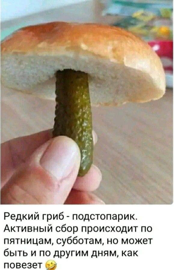 Курилка- разговоры на любые темы - Бодибилдинг форум AnabolicShops