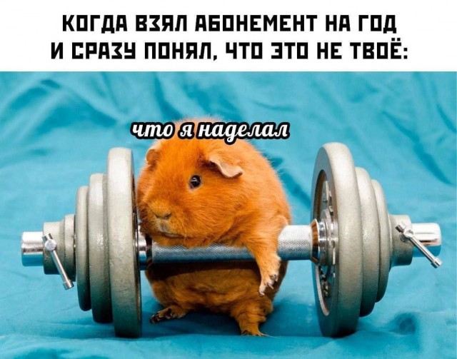 Курилка- разговоры на любые темы - Бодибилдинг форум AnabolicShops