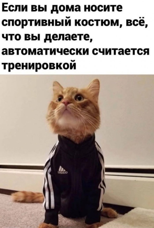 Курилка- разговоры на любые темы - Бодибилдинг форум AnabolicShops