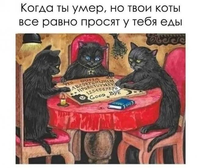 Курилка- разговоры на любые темы - Бодибилдинг форум AnabolicShops