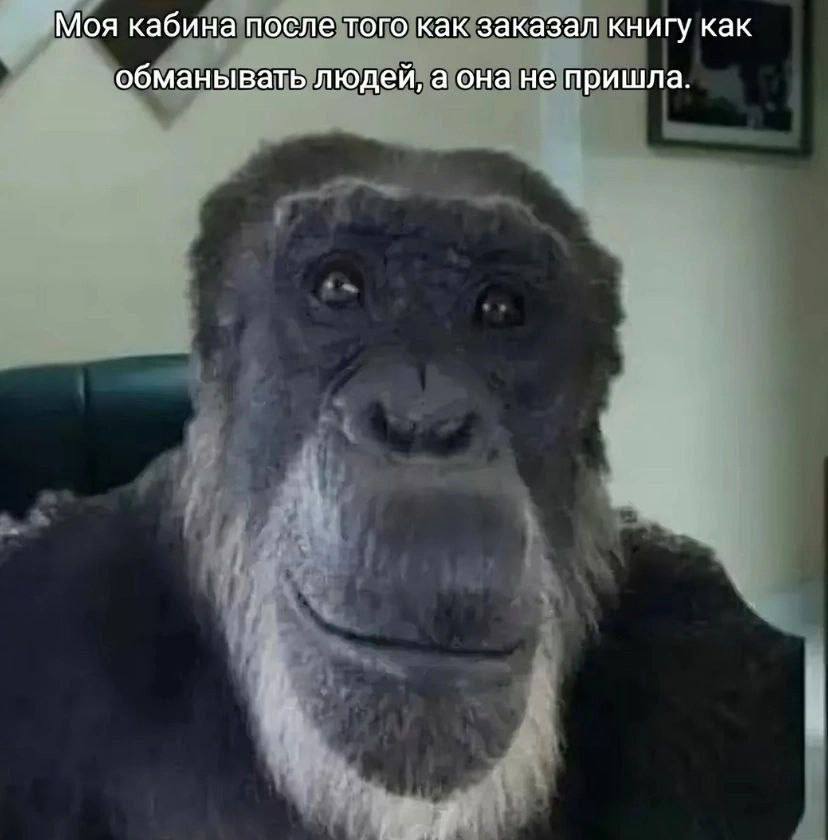 Курилка- разговоры на любые темы - Бодибилдинг форум AnabolicShops