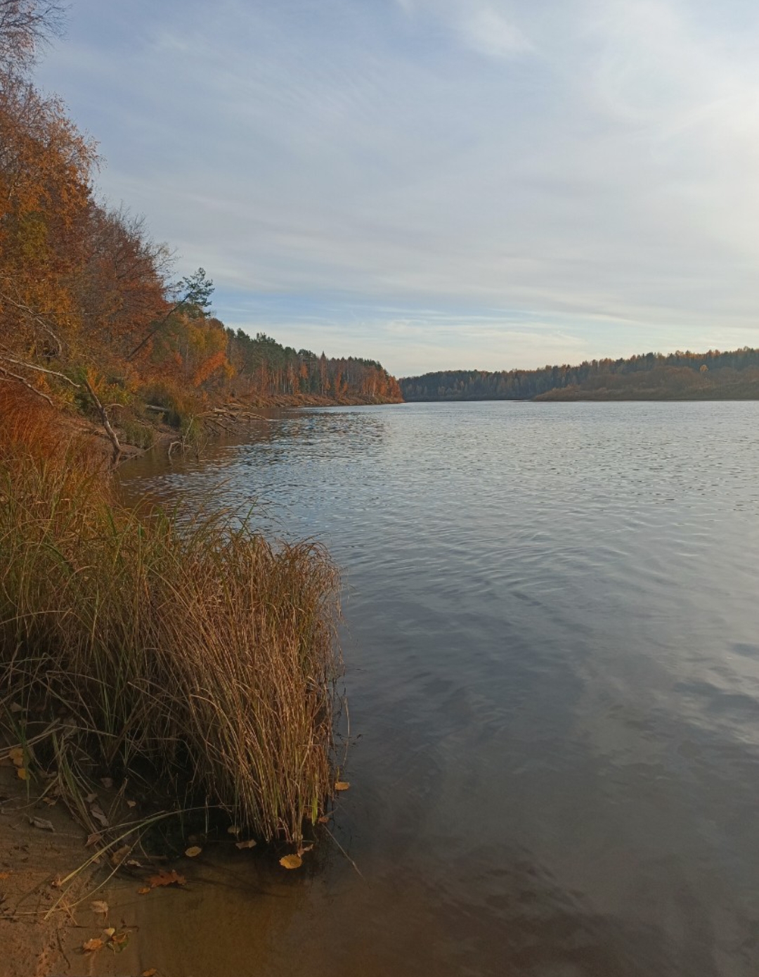 RoidTeam - Дистрибьютор Hilma Biocare и HGH Marten в России - Бодибилдинг форум AnabolicShops