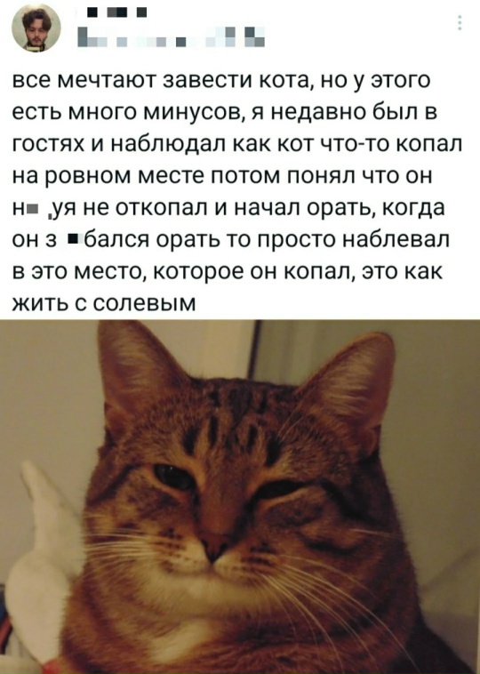 Курилка- разговоры на любые темы - Бодибилдинг форум AnabolicShops