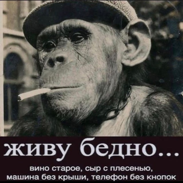 Курилка- разговоры на любые темы - Бодибилдинг форум AnabolicShops