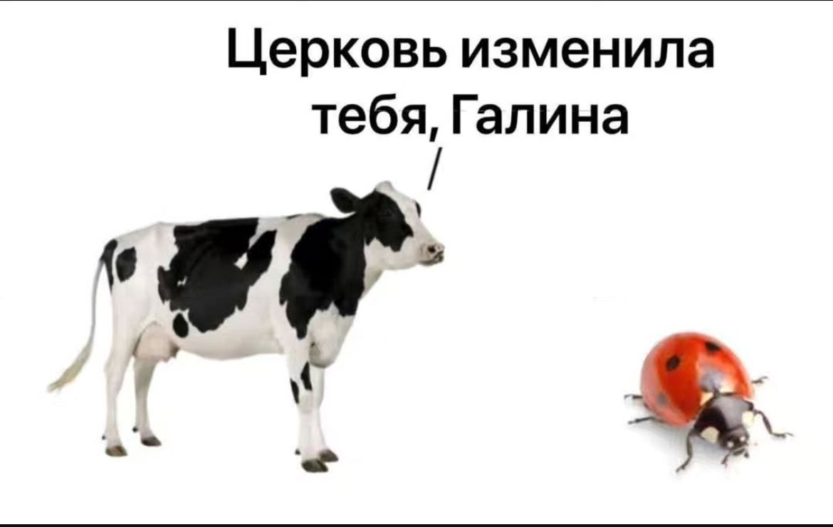 Курилка- разговоры на любые темы - Бодибилдинг форум AnabolicShops