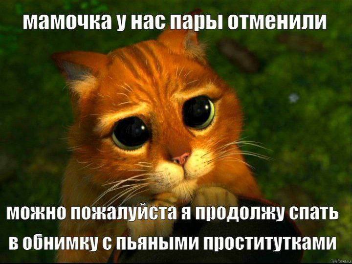 Курилка- разговоры на любые темы - Бодибилдинг форум AnabolicShops