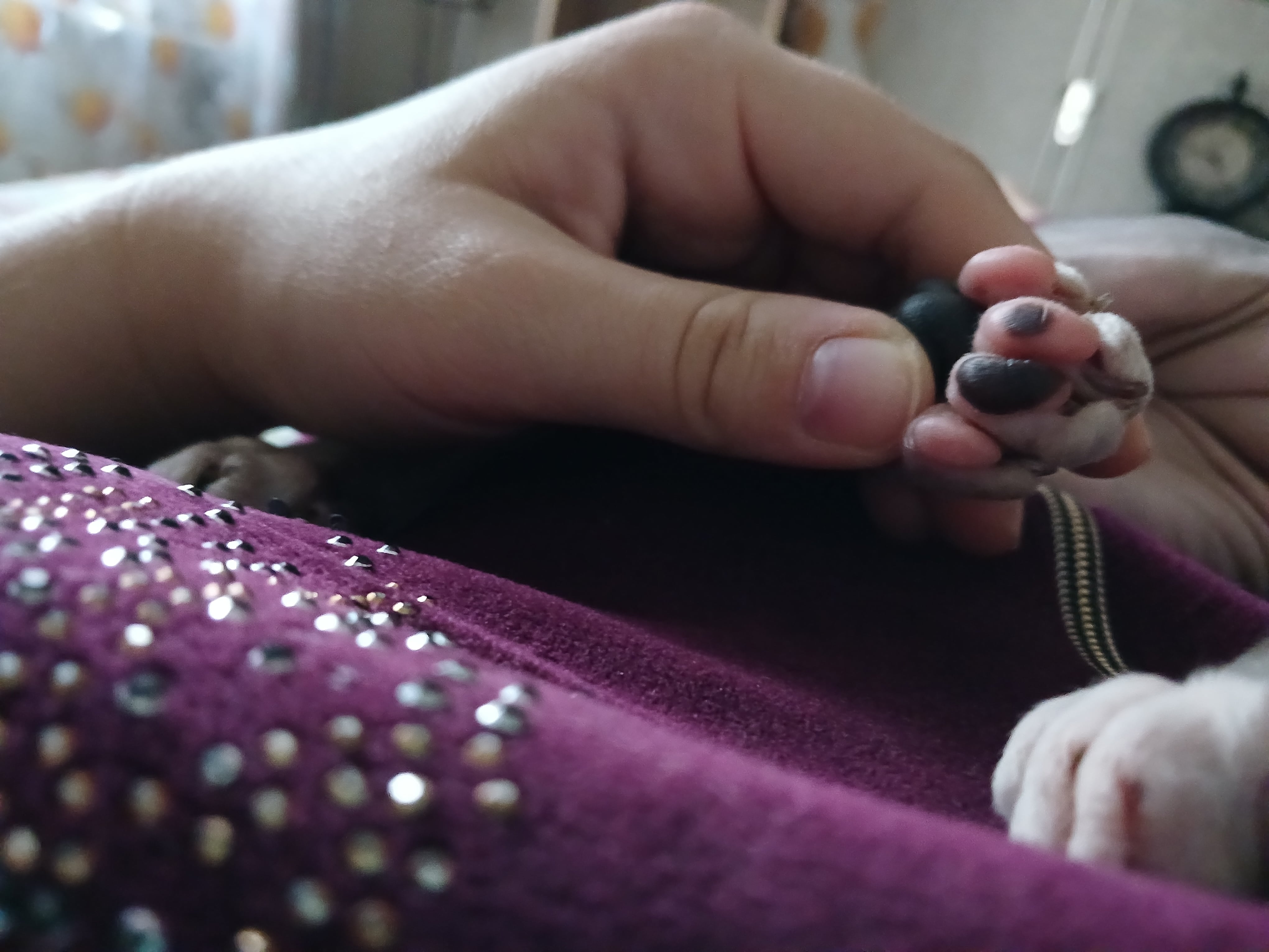 Болталка про ЗОЖ - трехсотый пауэрлифтер! - Бодибилдинг форум AnabolicShops