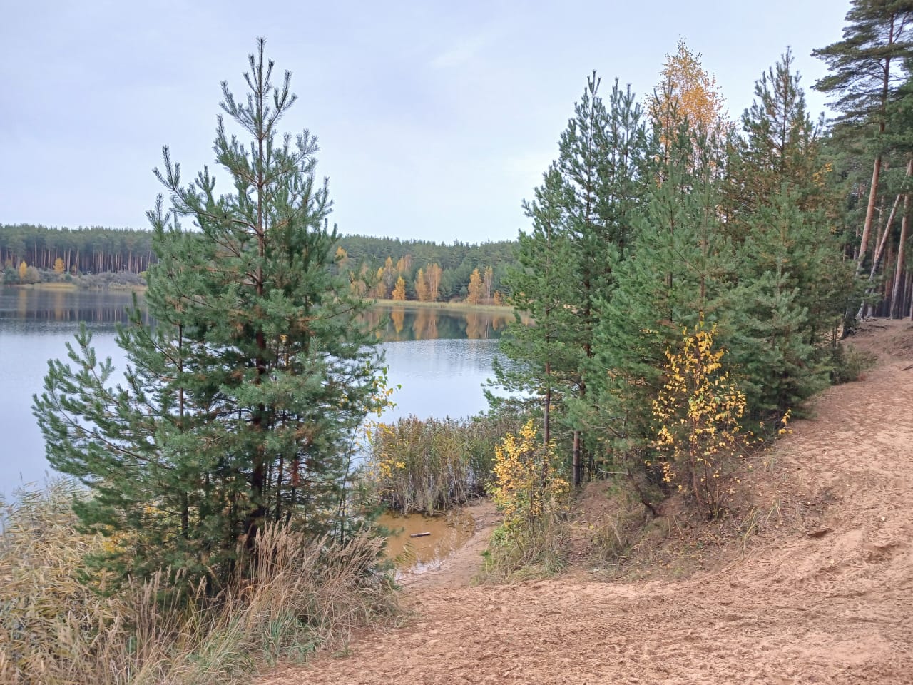 Hilma PRO - с заботой о вашем здоровье! - Бодибилдинг форум AnabolicShops