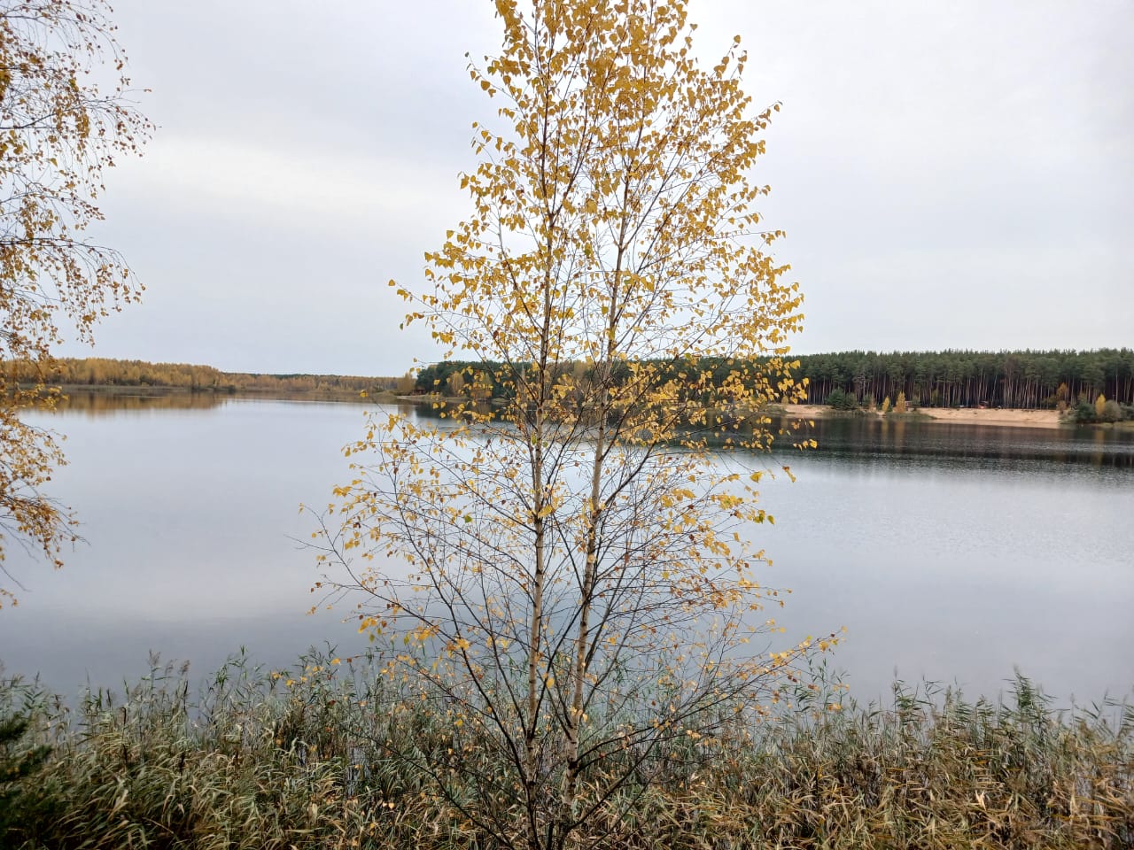 Hilma PRO - с заботой о вашем здоровье! - Бодибилдинг форум AnabolicShops