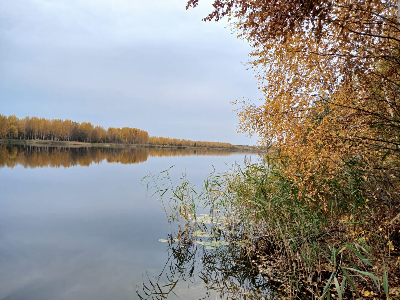 Hilma PRO - с заботой о вашем здоровье! - Бодибилдинг форум AnabolicShops