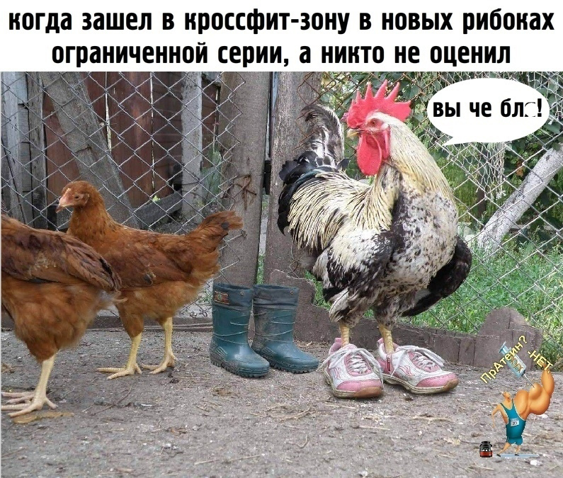 Курилка- разговоры на любые темы - Бодибилдинг форум AnabolicShops