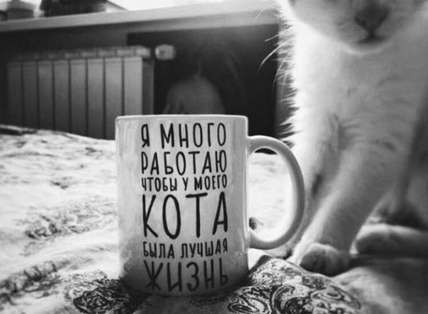 Hilma PRO - с заботой о вашем здоровье! - Бодибилдинг форум AnabolicShops