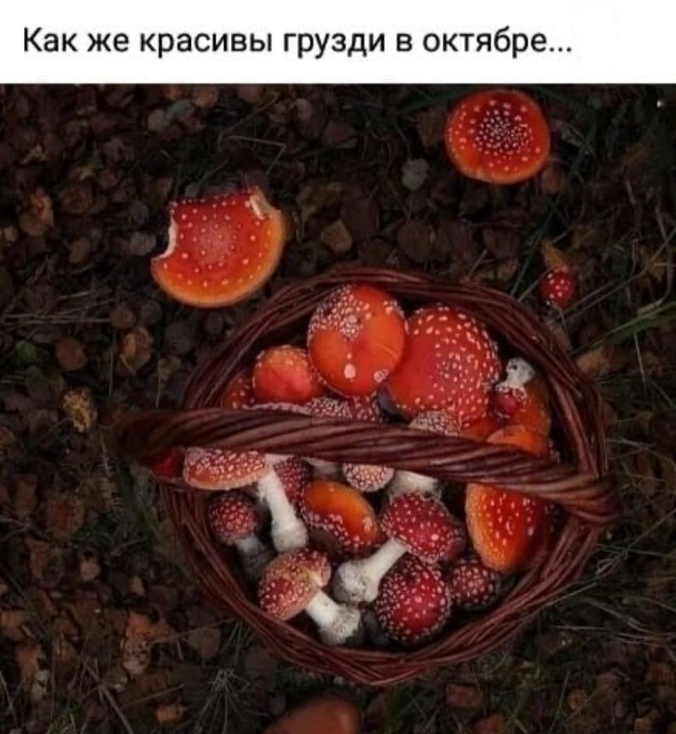 Курилка- разговоры на любые темы - Бодибилдинг форум AnabolicShops