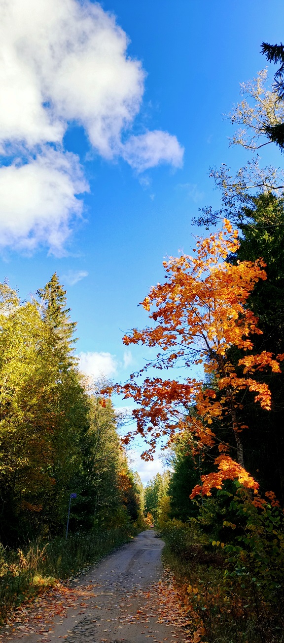 Дайджест от 30.10.2025 - Бодибилдинг форум AnabolicShops