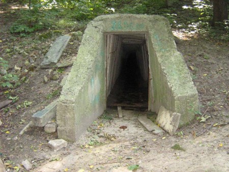 Mrs_muscles - Бодибилдинг форум AnabolicShops