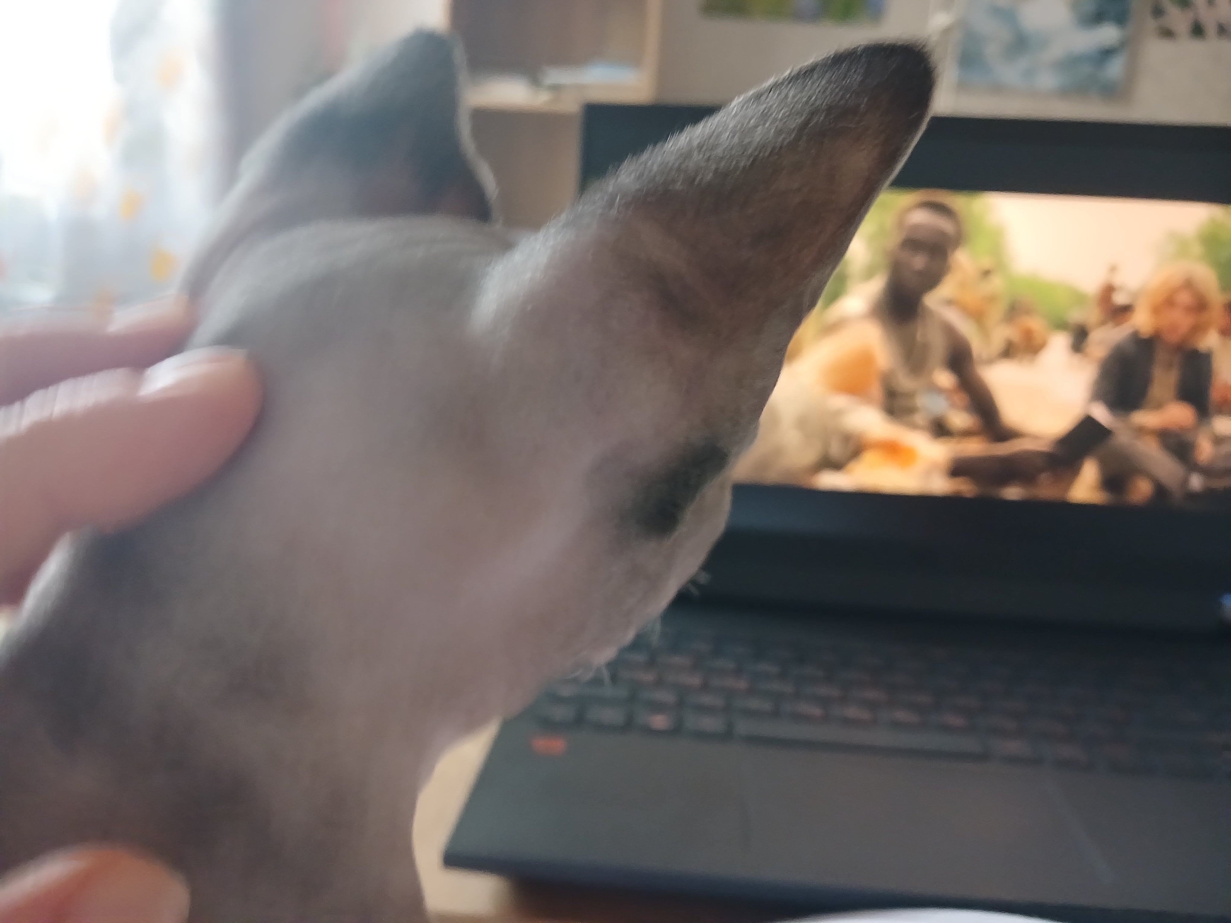 Болталка про ЗОЖ - трехсотый пауэрлифтер! - Бодибилдинг форум AnabolicShops