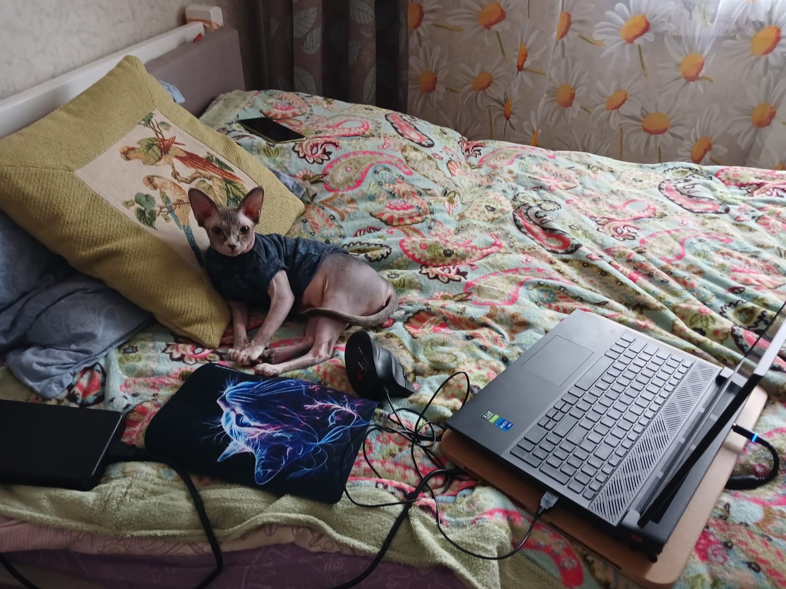 Мои домашние питомцы - Бодибилдинг форум AnabolicShops