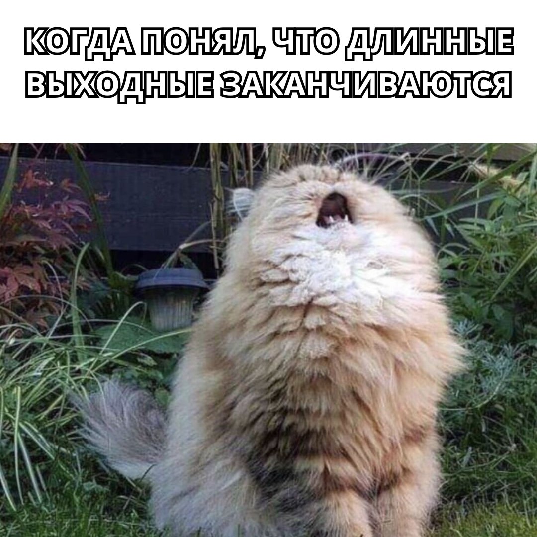 Курилка- разговоры на любые темы - Бодибилдинг форум AnabolicShops