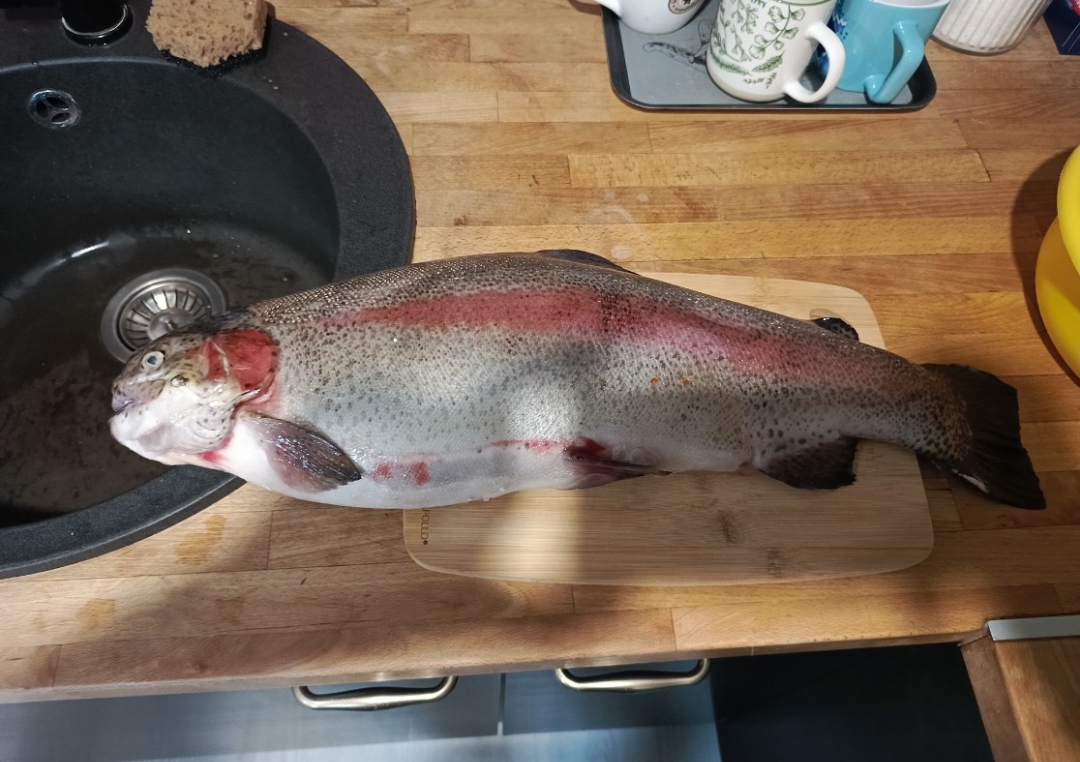 RoidTeam - Дистрибьютор Hilma Biocare и HGH Marten в России - Бодибилдинг форум AnabolicShops