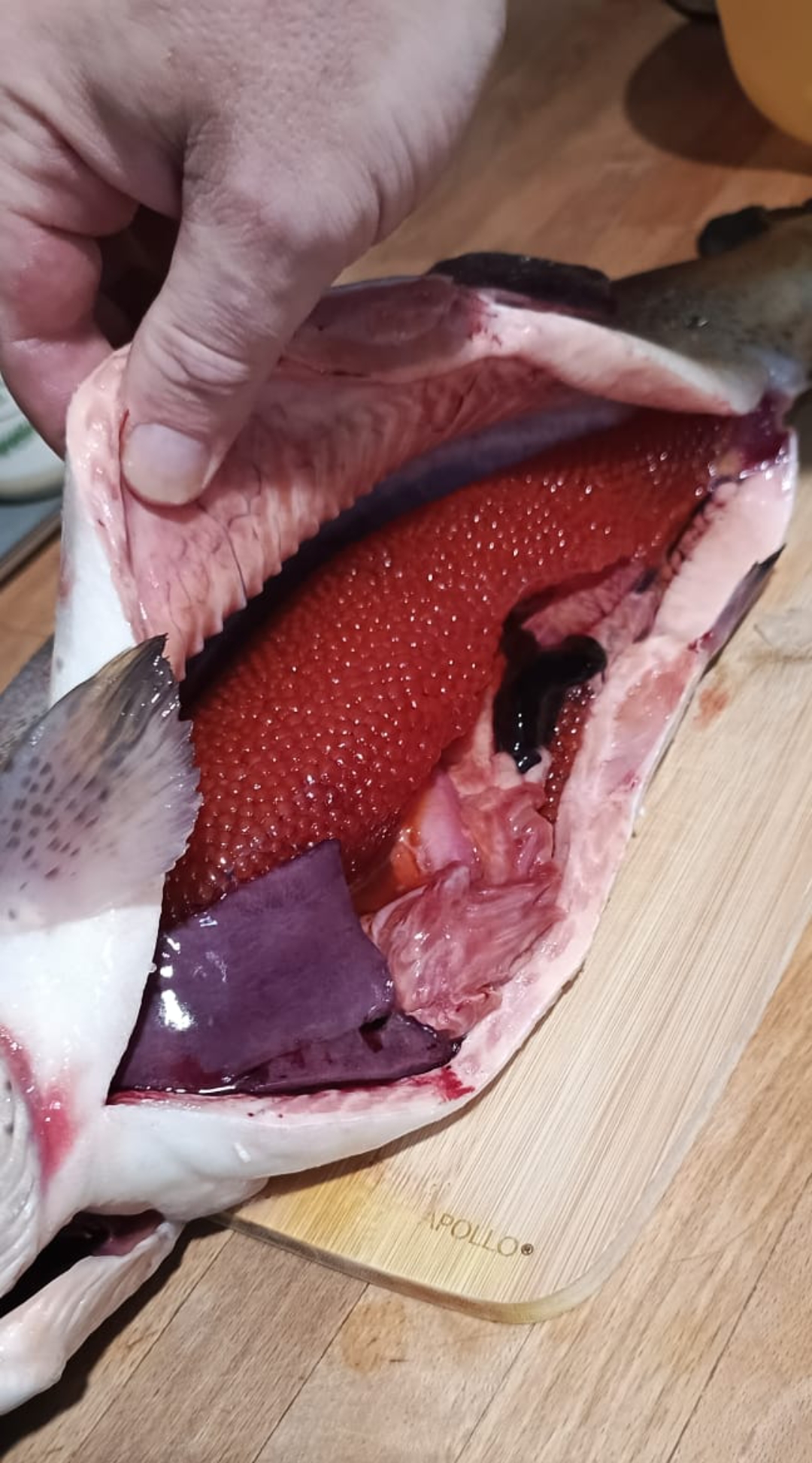 RoidTeam - Дистрибьютор Hilma Biocare и HGH Marten в России - Бодибилдинг форум AnabolicShops