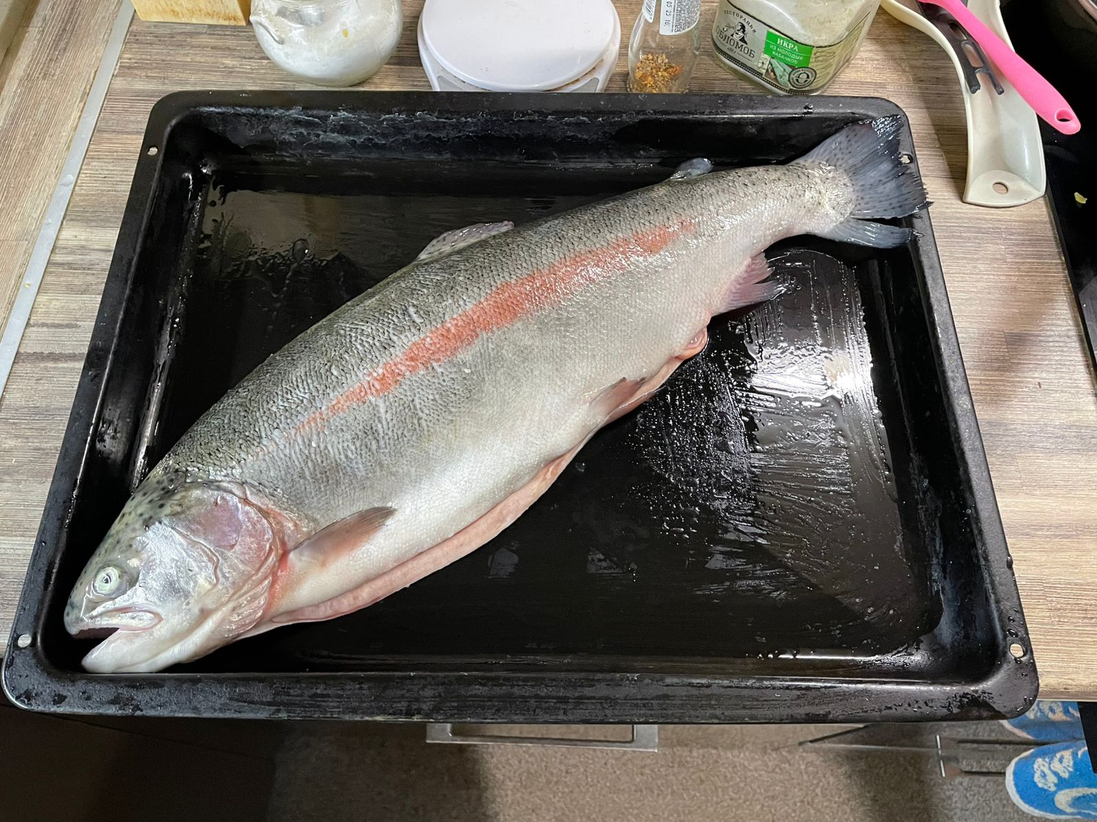 ProjectX - твой надежный поставщик! - Бодибилдинг форум AnabolicShops