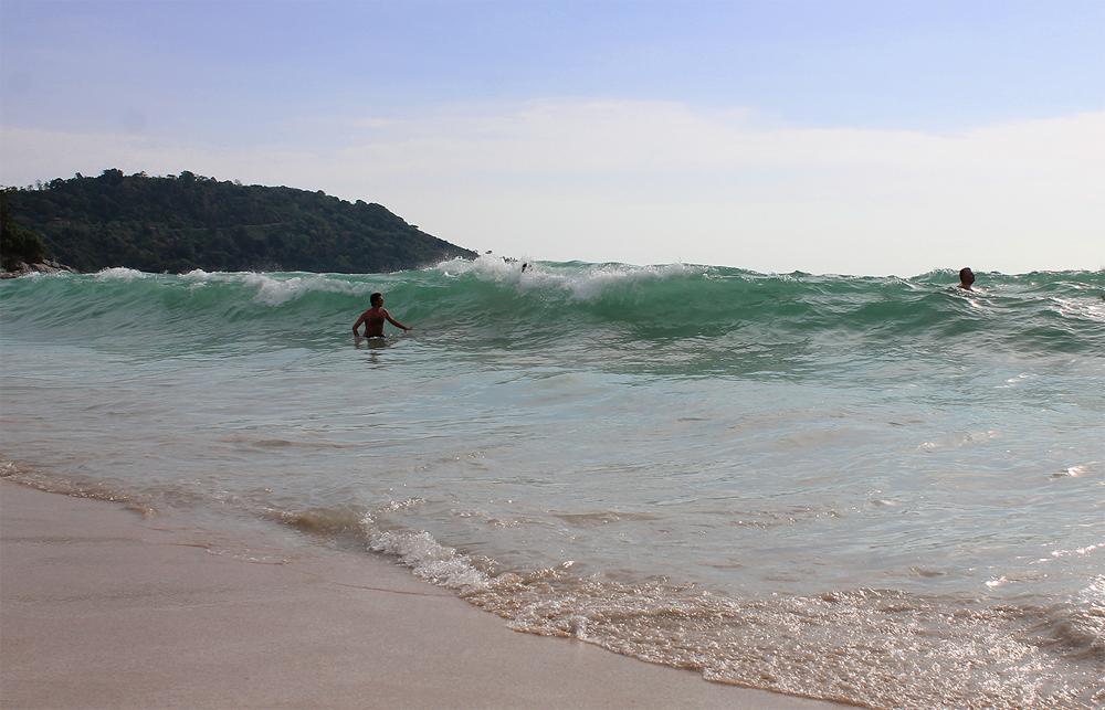 RoidTeam - Дистрибьютор Hilma Biocare и HGH Marten в России - Бодибилдинг форум AnabolicShops