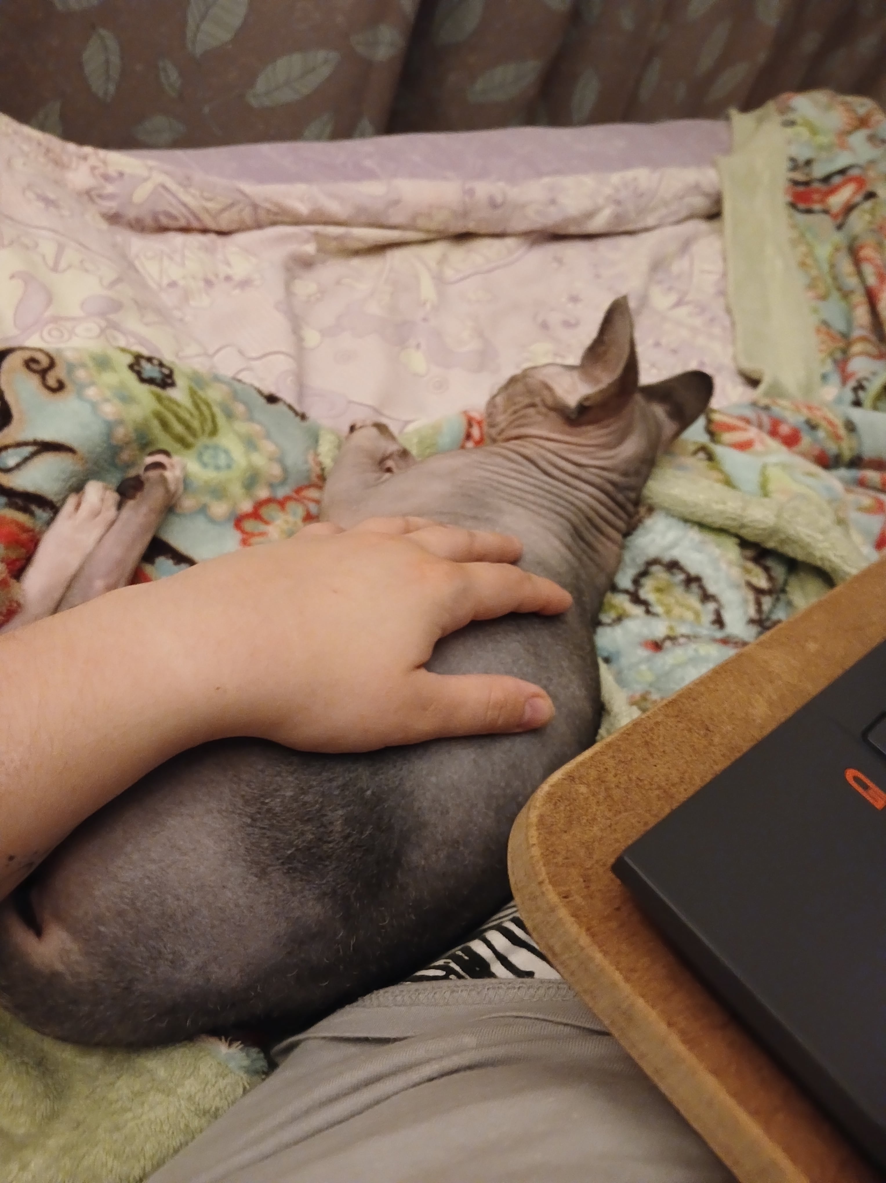 Курилка- разговоры на любые темы - Бодибилдинг форум AnabolicShops