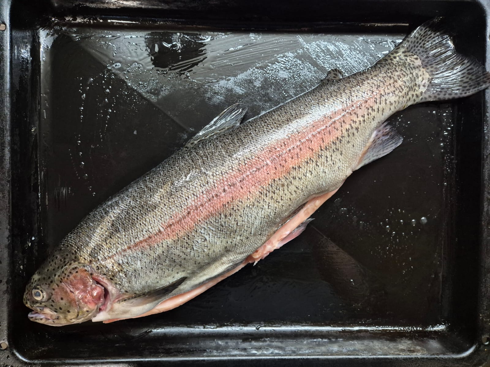 ProjectX - твой надежный поставщик! - Бодибилдинг форум AnabolicShops