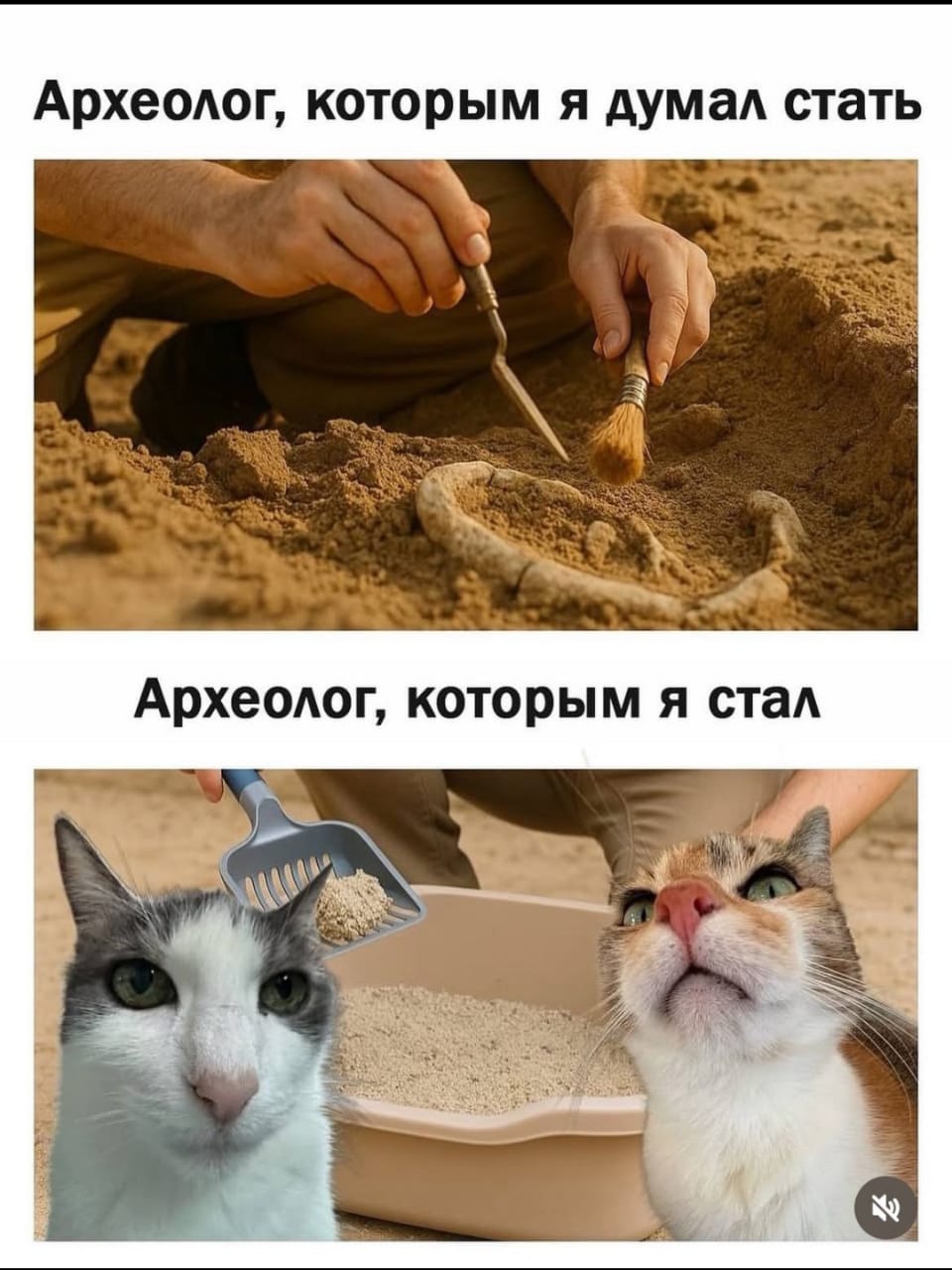 Курилка- разговоры на любые темы - Бодибилдинг форум AnabolicShops