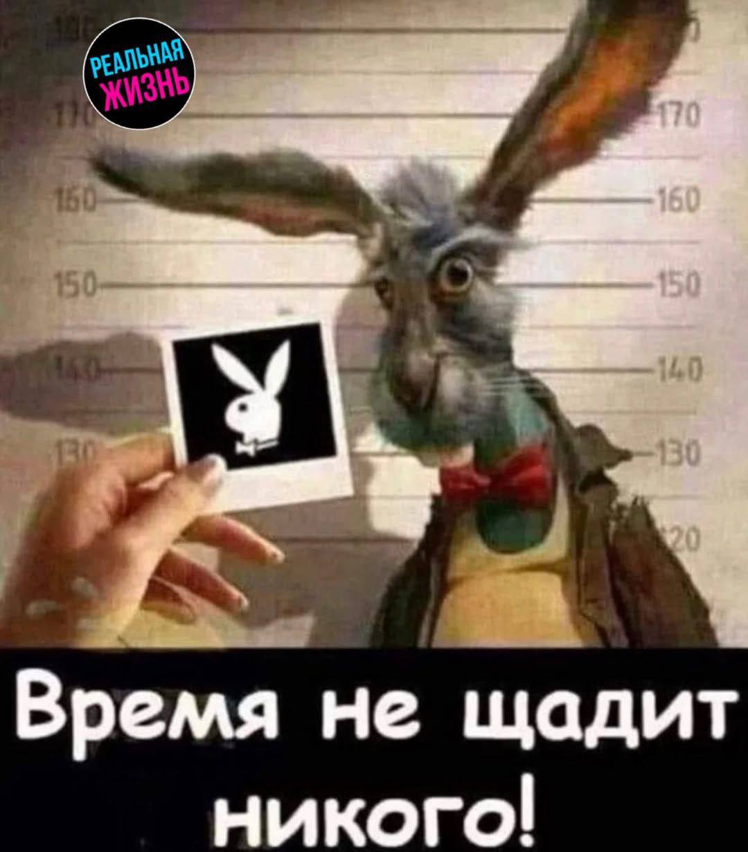 Курилка- разговоры на любые темы - Бодибилдинг форум AnabolicShops