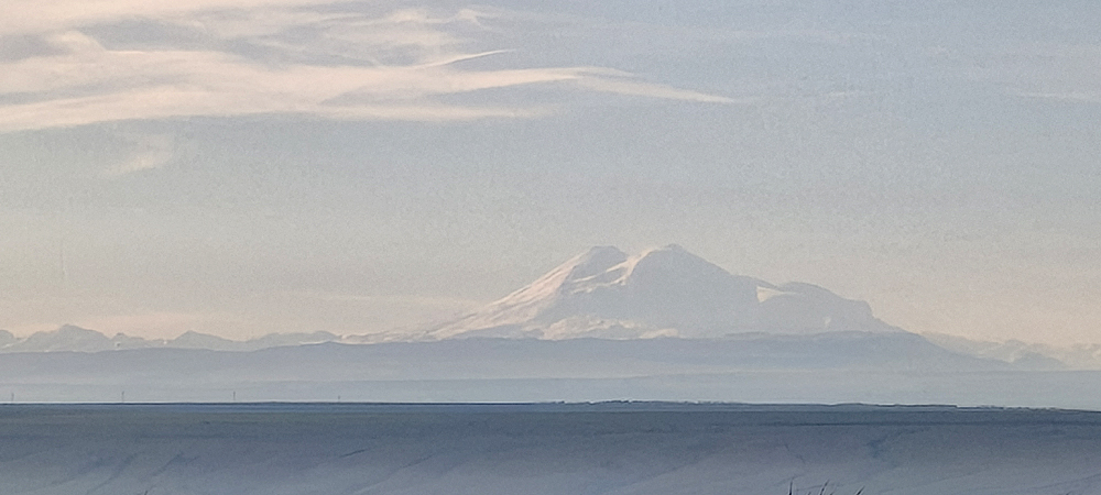 RoidTeam - Дистрибьютор Hilma Biocare и HGH Marten в России - Бодибилдинг форум AnabolicShops