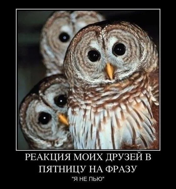 Курилка- разговоры на любые темы - Бодибилдинг форум AnabolicShops