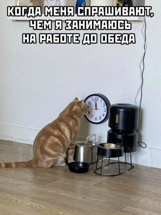 Курилка- разговоры на любые темы - Бодибилдинг форум AnabolicShops