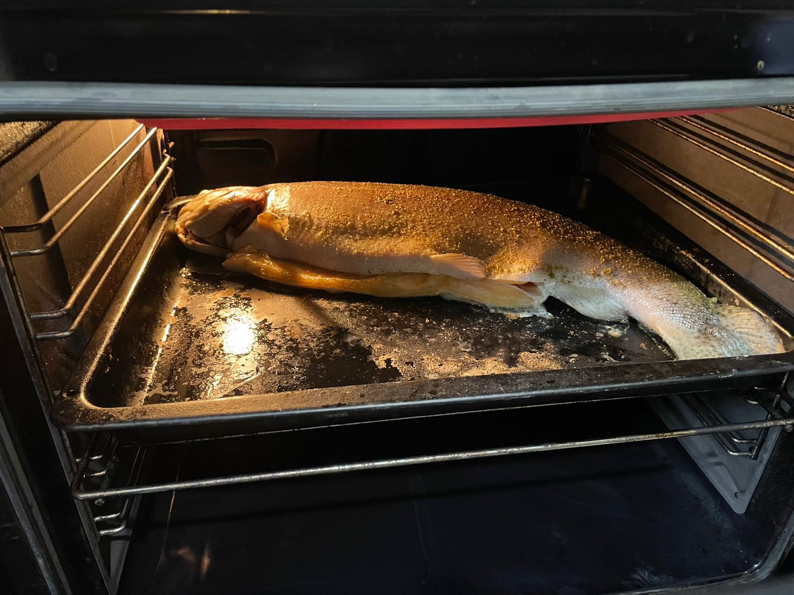 ProjectX - твой надежный поставщик! - Бодибилдинг форум AnabolicShops