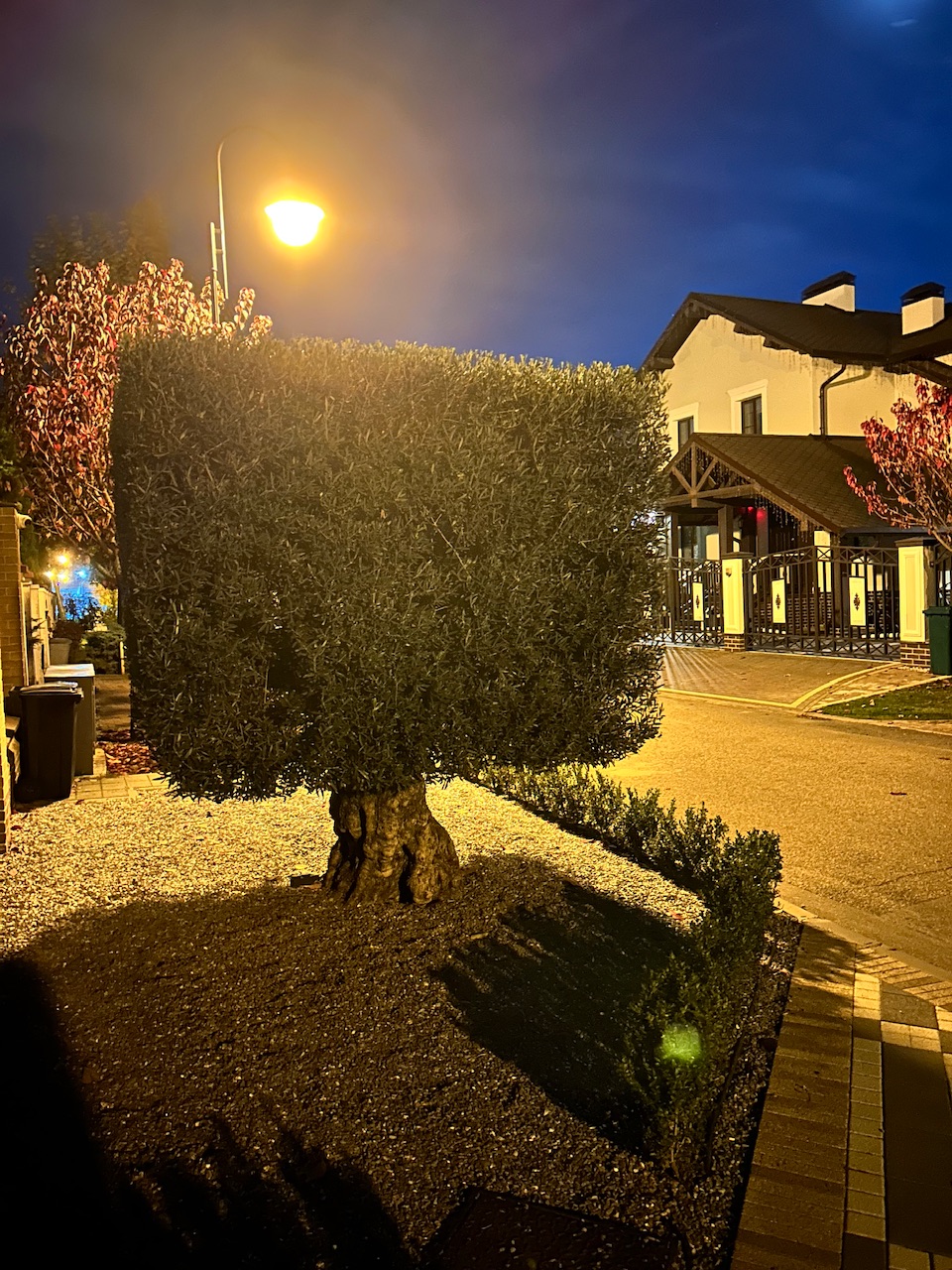 Нет вопросов  к Химла и Геворгу =) - Бодибилдинг форум AnabolicShops