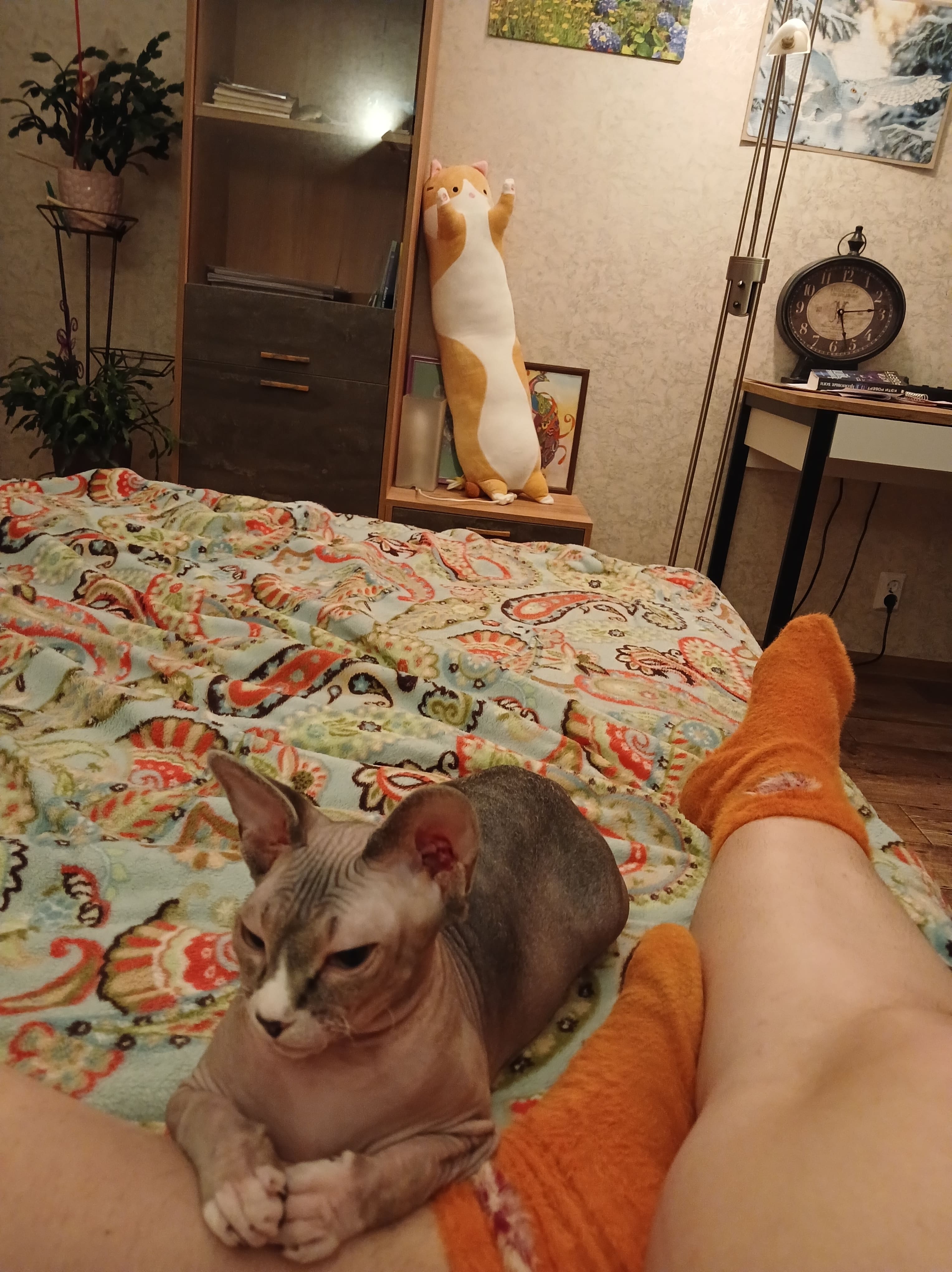 Курилка- разговоры на любые темы - Бодибилдинг форум AnabolicShops