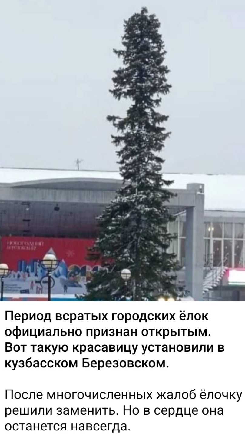 Нет вопросов  к Химла и Геворгу =) - Бодибилдинг форум AnabolicShops