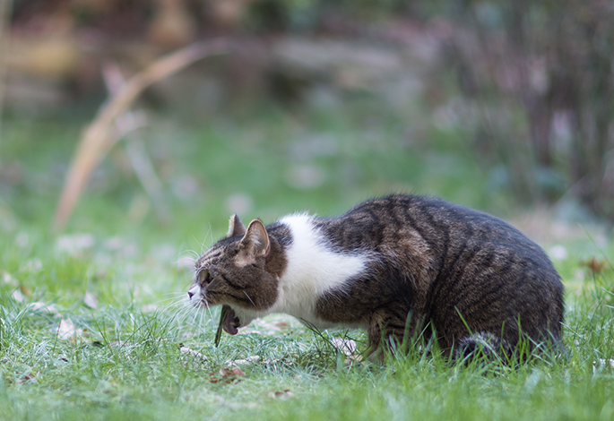 Курилка- разговоры на любые темы - Бодибилдинг форум AnabolicShops