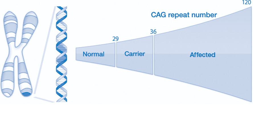 RoidTeam - Дистрибьютор Hilma Biocare и HGH Marten в России - Бодибилдинг форум AnabolicShops