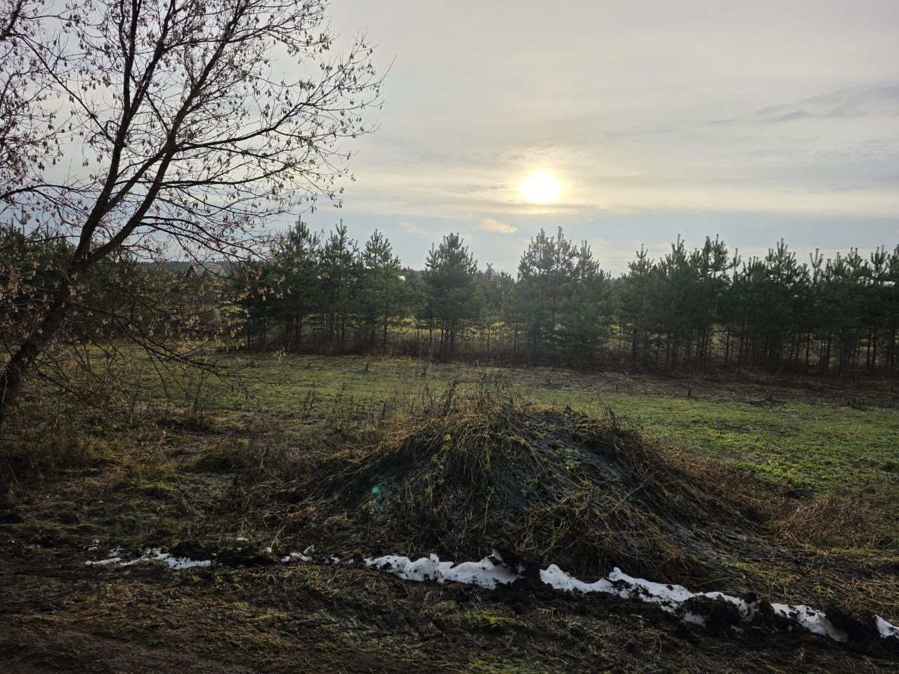 Курилка- разговоры на любые темы - Бодибилдинг форум AnabolicShops