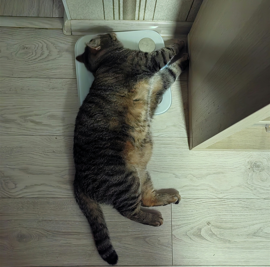 Курилка- разговоры на любые темы - Бодибилдинг форум AnabolicShops