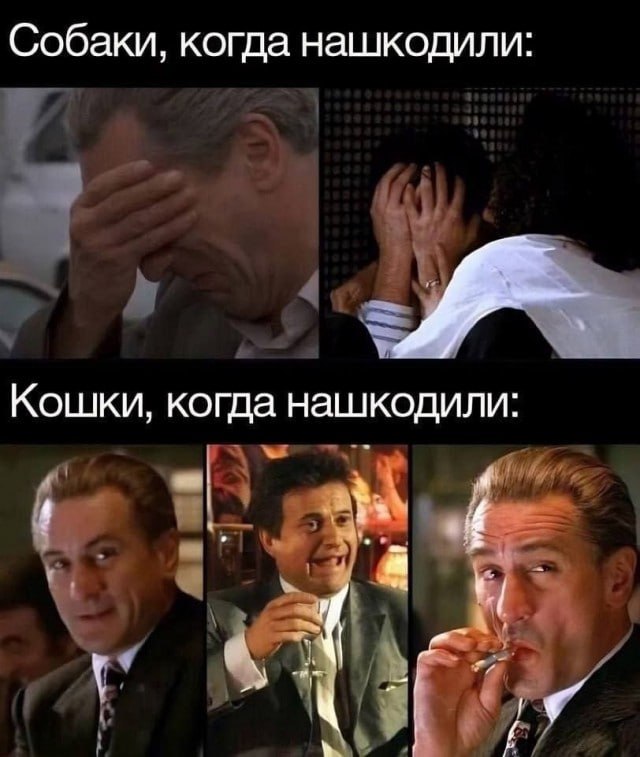 Курилка- разговоры на любые темы - Бодибилдинг форум AnabolicShops